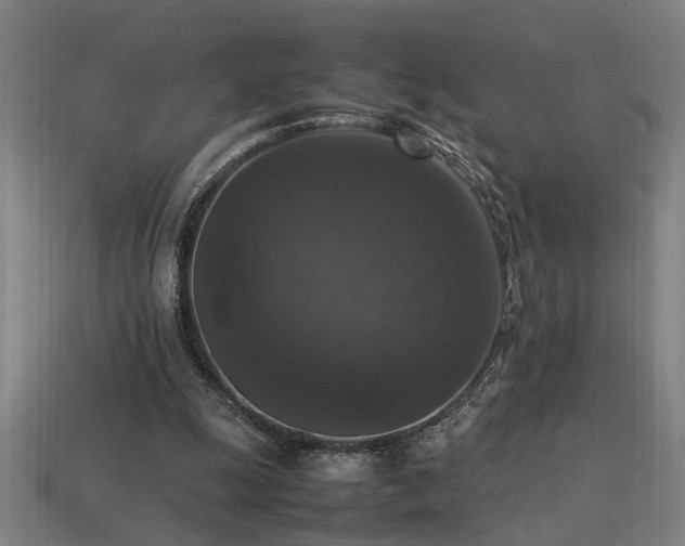 X0000113950247200909251344