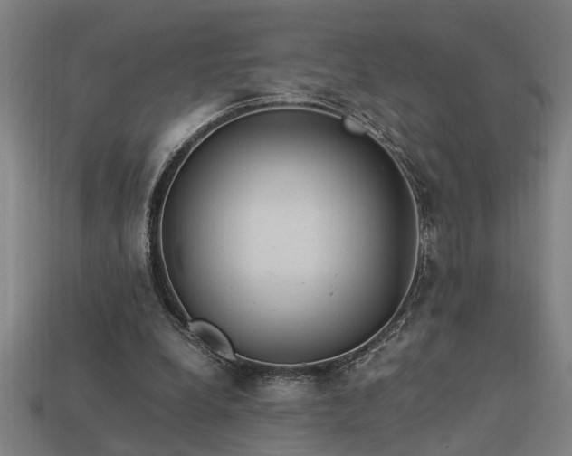 X0000113950248200909251344