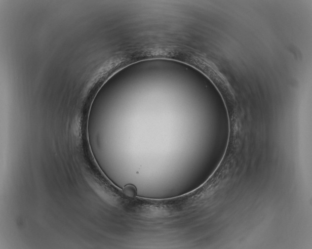 X0000113950250200909251344