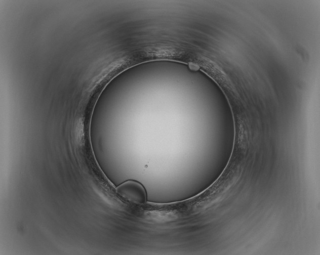 X0000113950251200909251344