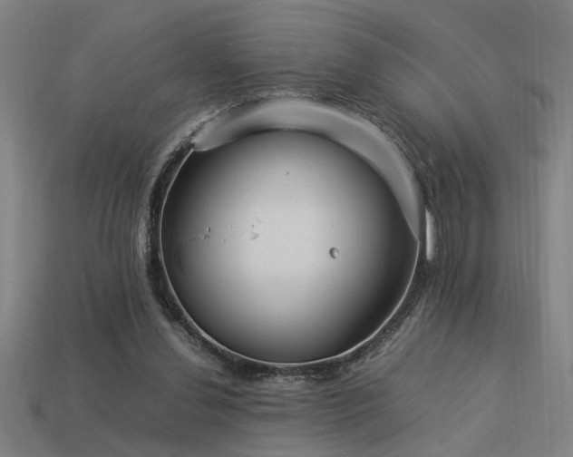 X0000113950252200909251344