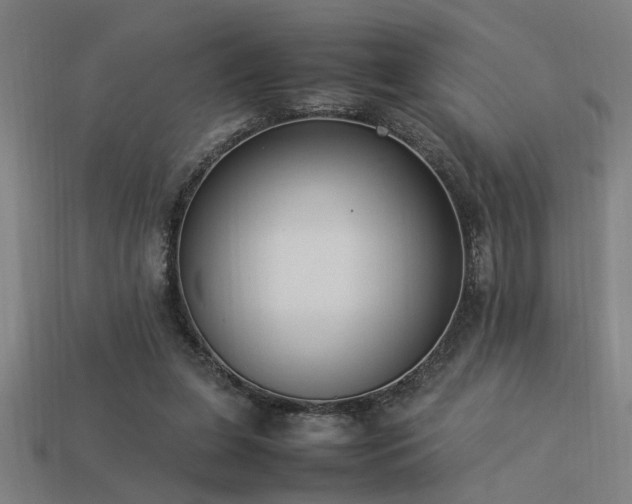 X0000113950255200909251344