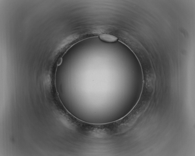 X0000113950256200909251345