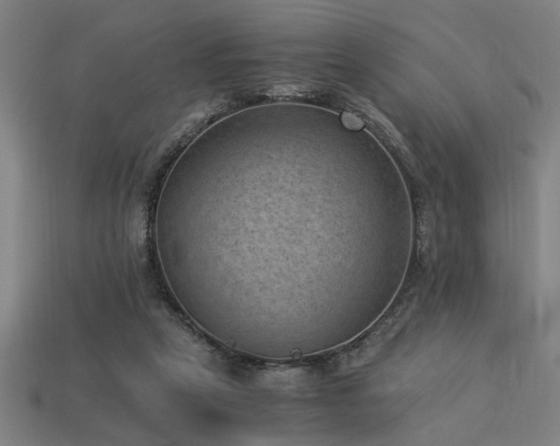X0000113950257200909251345