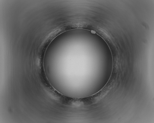 X0000113950258200909251345
