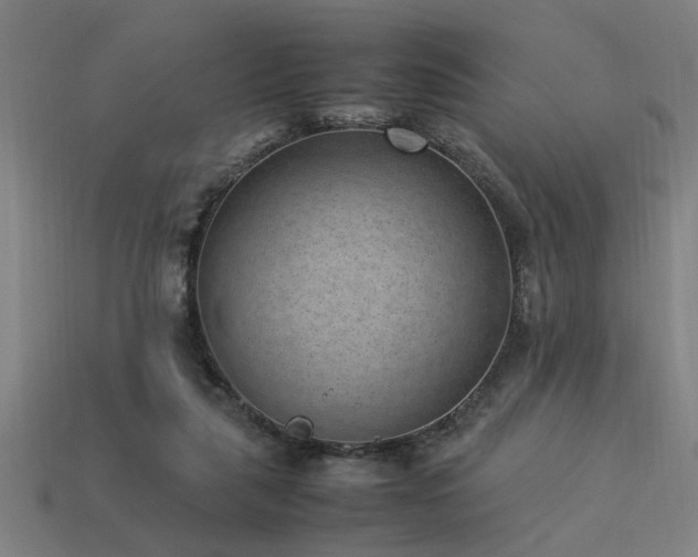 X0000113950259200909251345