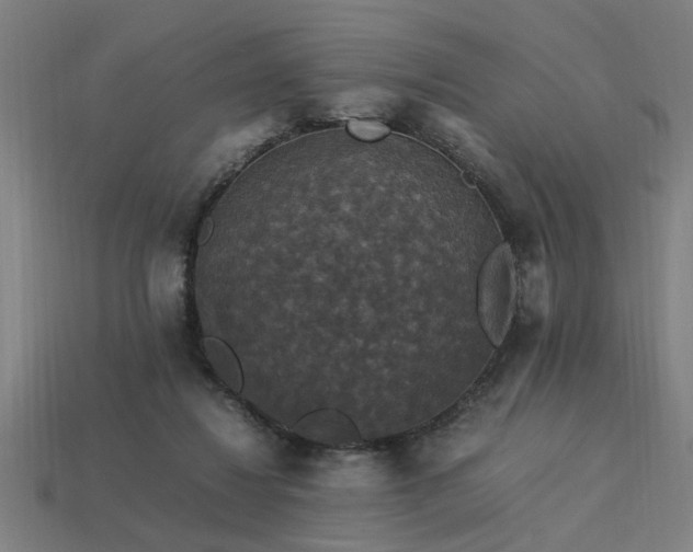 X0000113950260200909251345