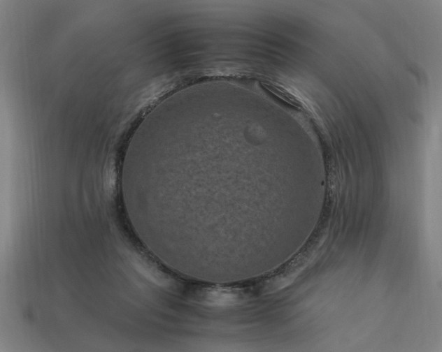 X0000113950261200909251345