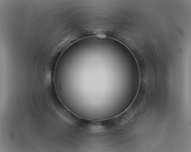X0000113950262200909251345