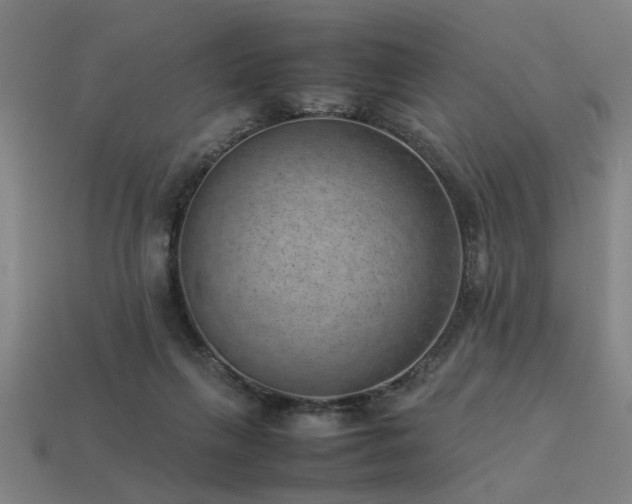 X0000113950263200909251345