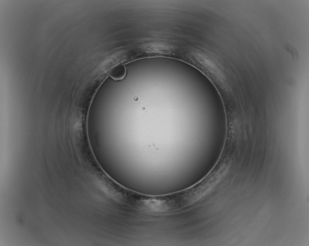 X0000113950265200909251345