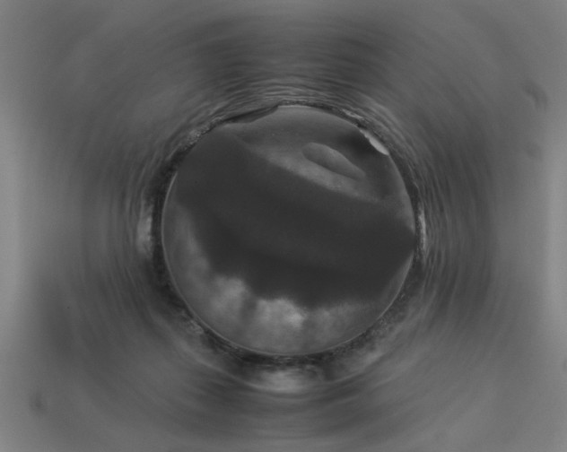 X0000113950267200909251345