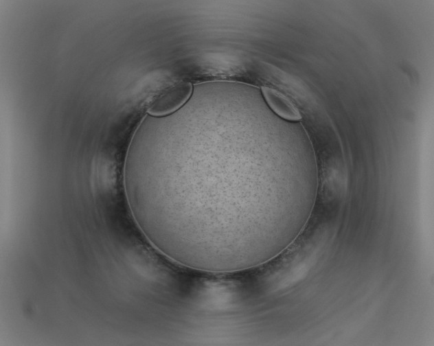 X0000113950268200909251345