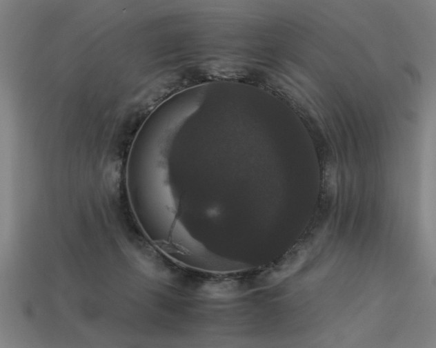 X0000113950271200909251345