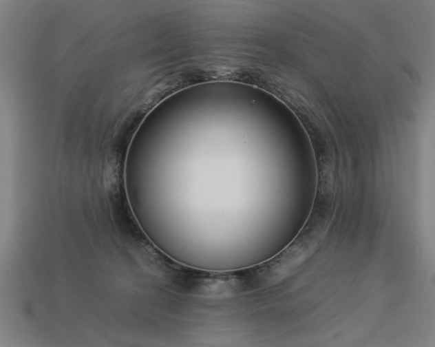 X0000113950274200909251345