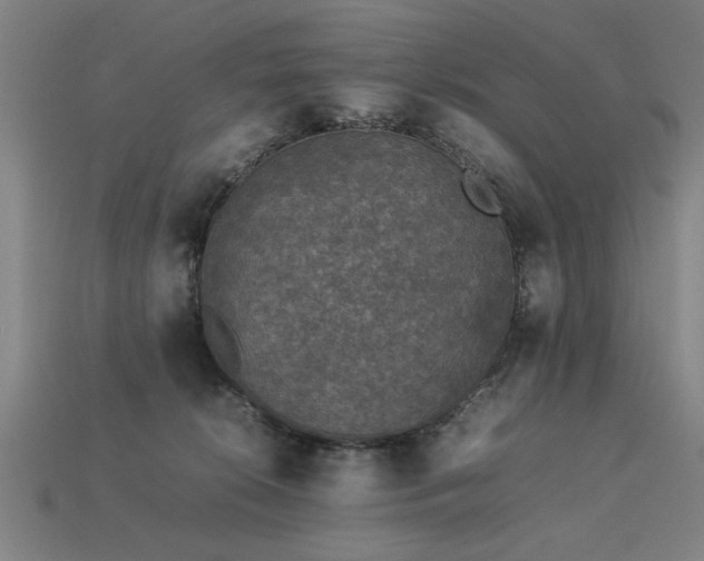 X0000113950276200909251345