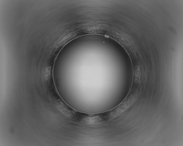X0000113950278200909251345