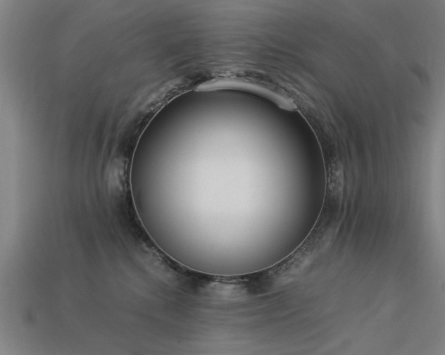 X0000113950280200909251345