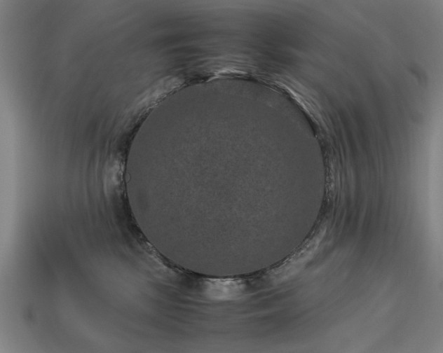 X0000113950281200909251345