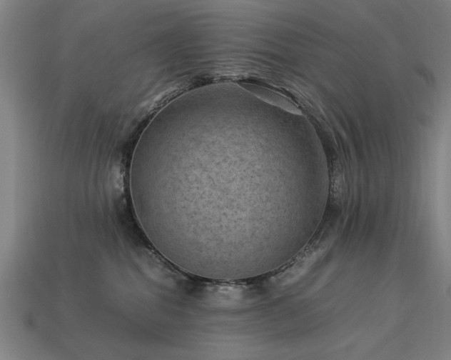 X0000113950282200909251345