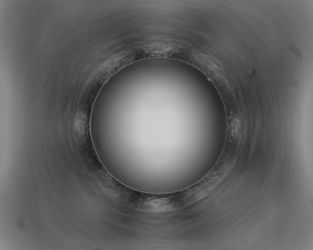 X0000113950283200909251345