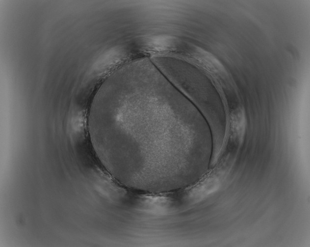 X0000113950284200909251345