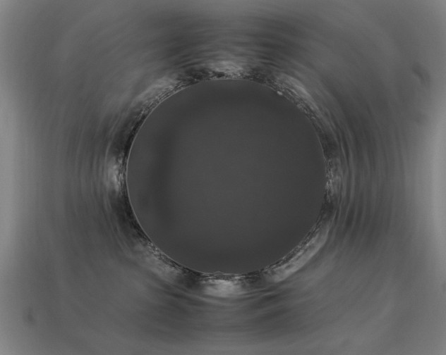 X0000113950285200909251345