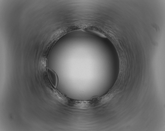 X0000113950288200909251345