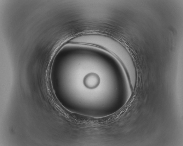 X0000113950289200909251344
