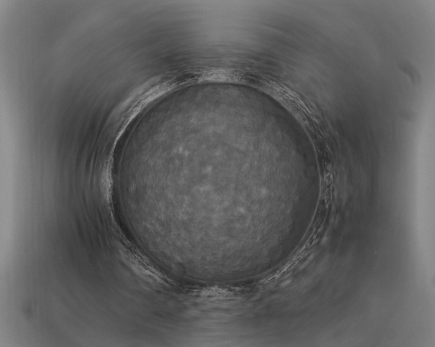 X0000113950290200909251344