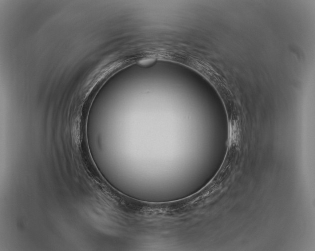 X0000113950291200909251344