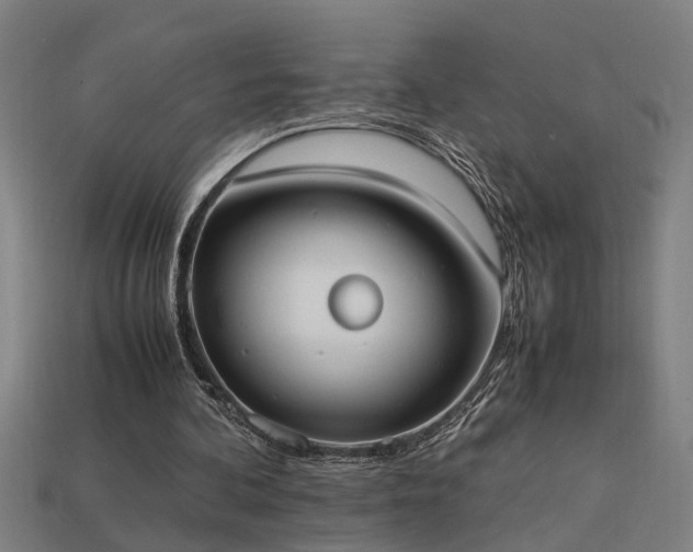 X0000113950292200909251344