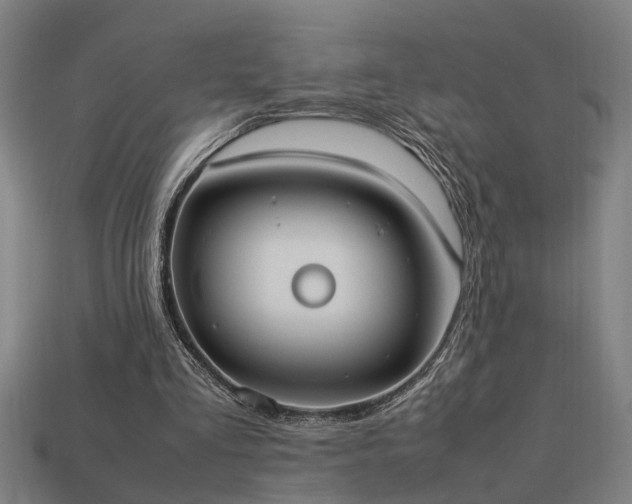 X0000113950293200909251344