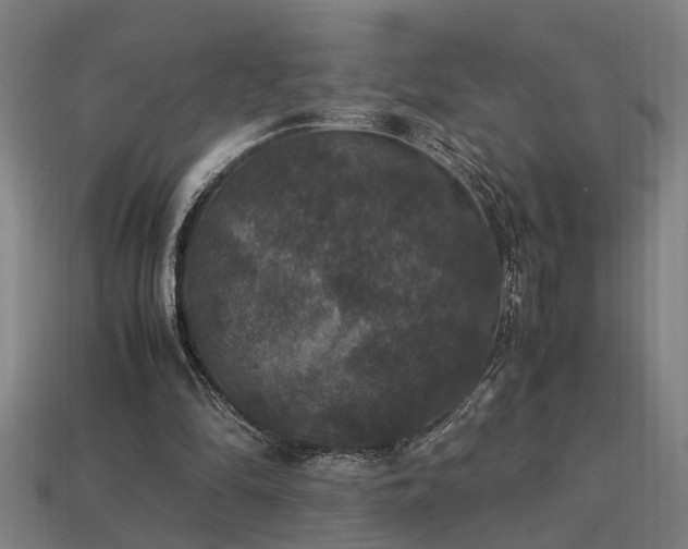X0000113950294200909251344