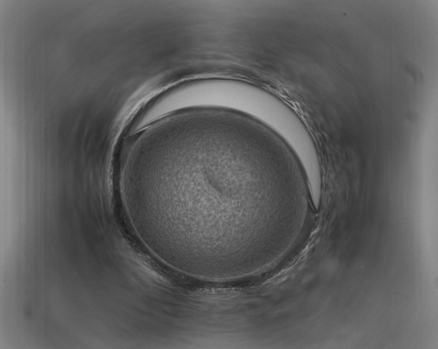 X0000113950296200909251344
