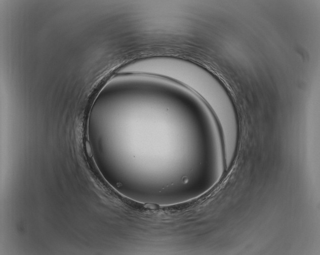 X0000113950297200909251344