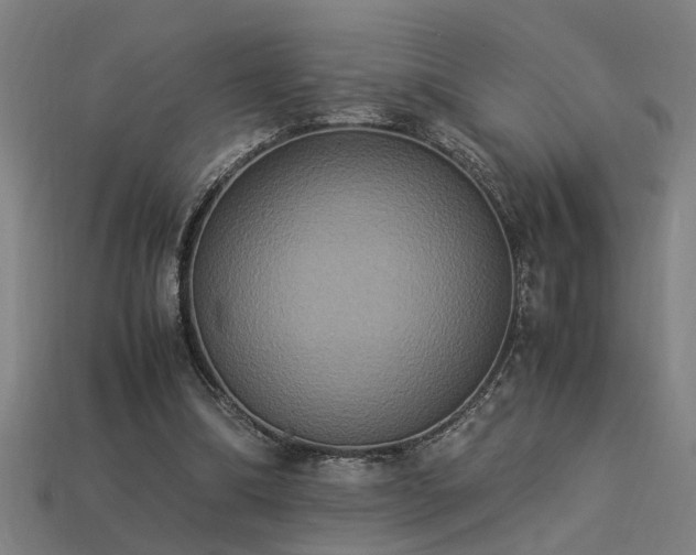 X0000113950298200909251344