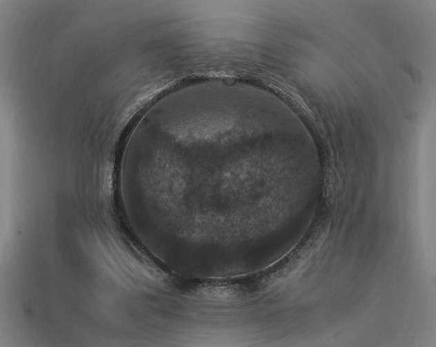 X0000113950299200909251344