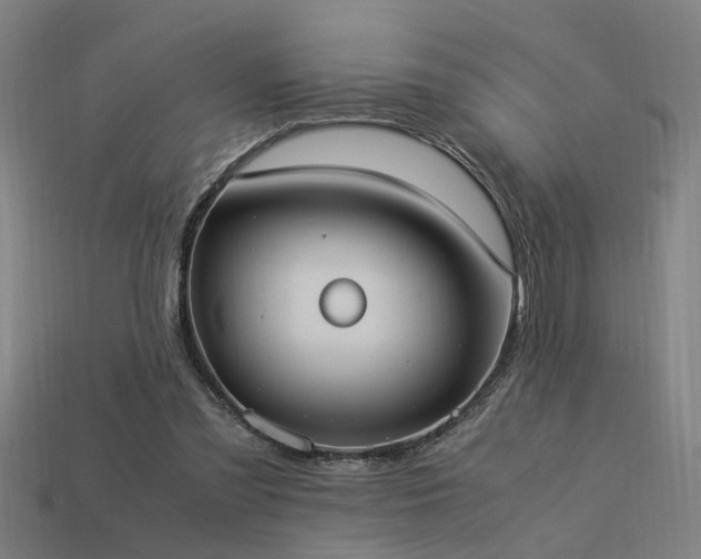 X0000113950301200909251344