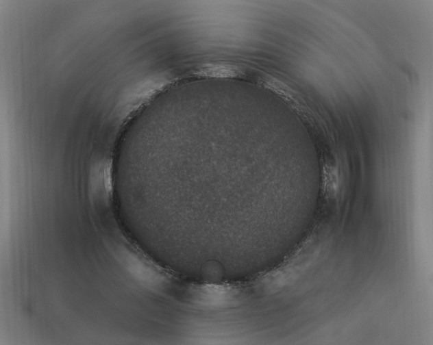 X0000113950302200909251344