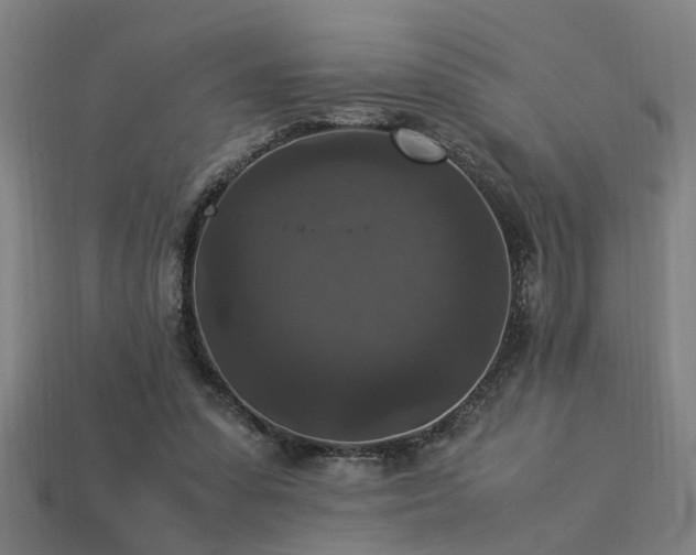 X0000113950303200909251344