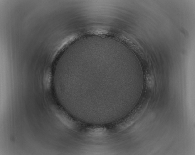 X0000113950304200909251344