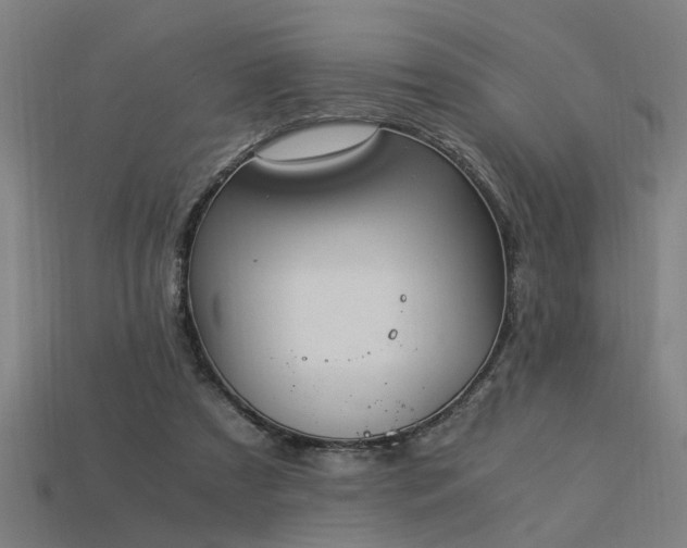 X0000113950305200909251344