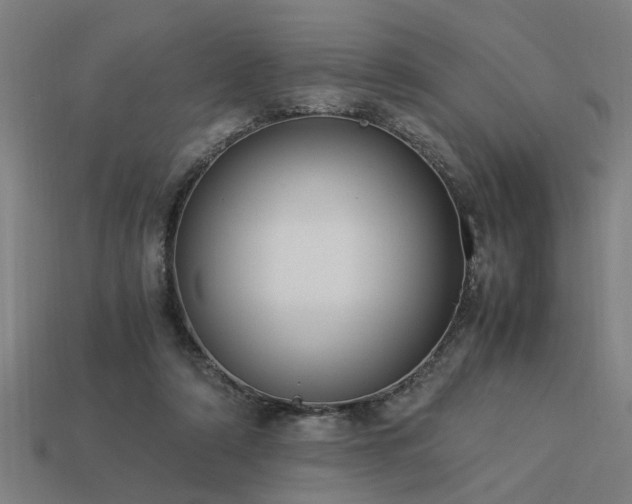 X0000113950306200909251344