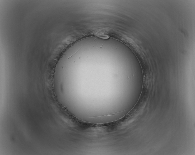 X0000113950307200909251344