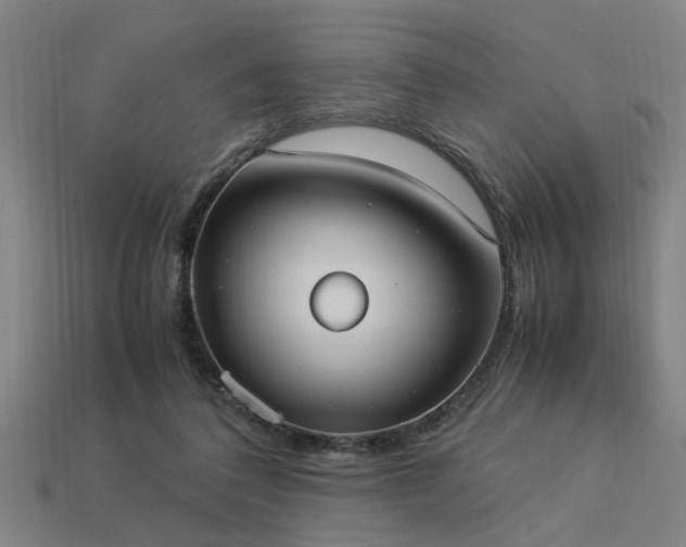 X0000113950308200909251344