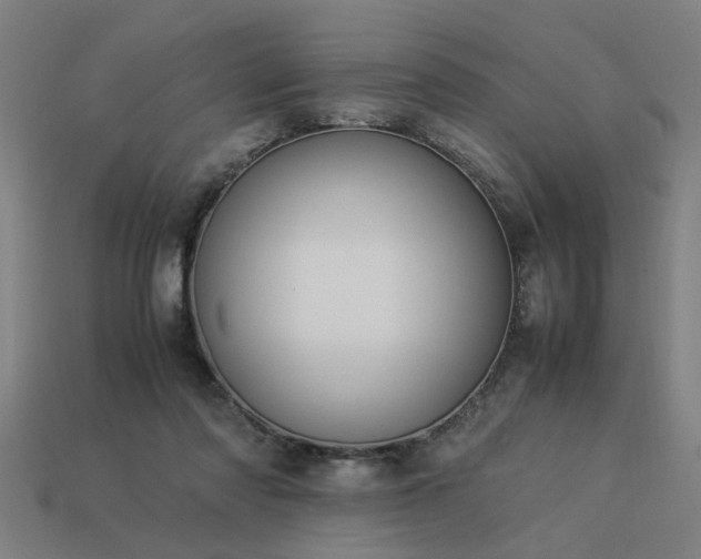X0000113950310200909251344