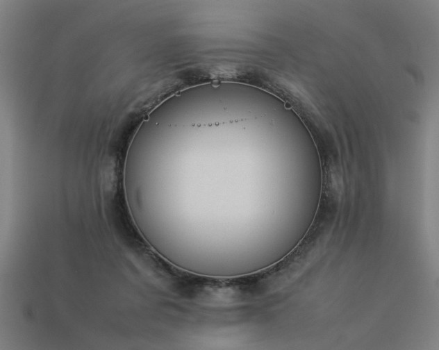 X0000113950311200909251344