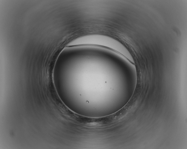 X0000113950312200909251344
