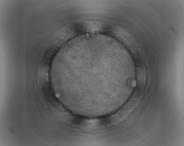 X0000113950313200909251344